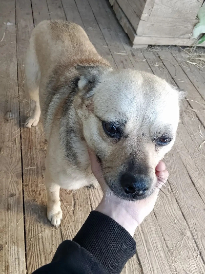 Кличка Центра Кличка Центра