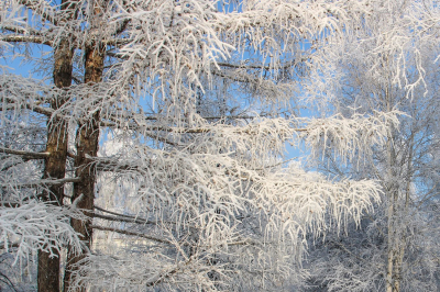 � ������� ��������� �����������, ������ � ������� �����