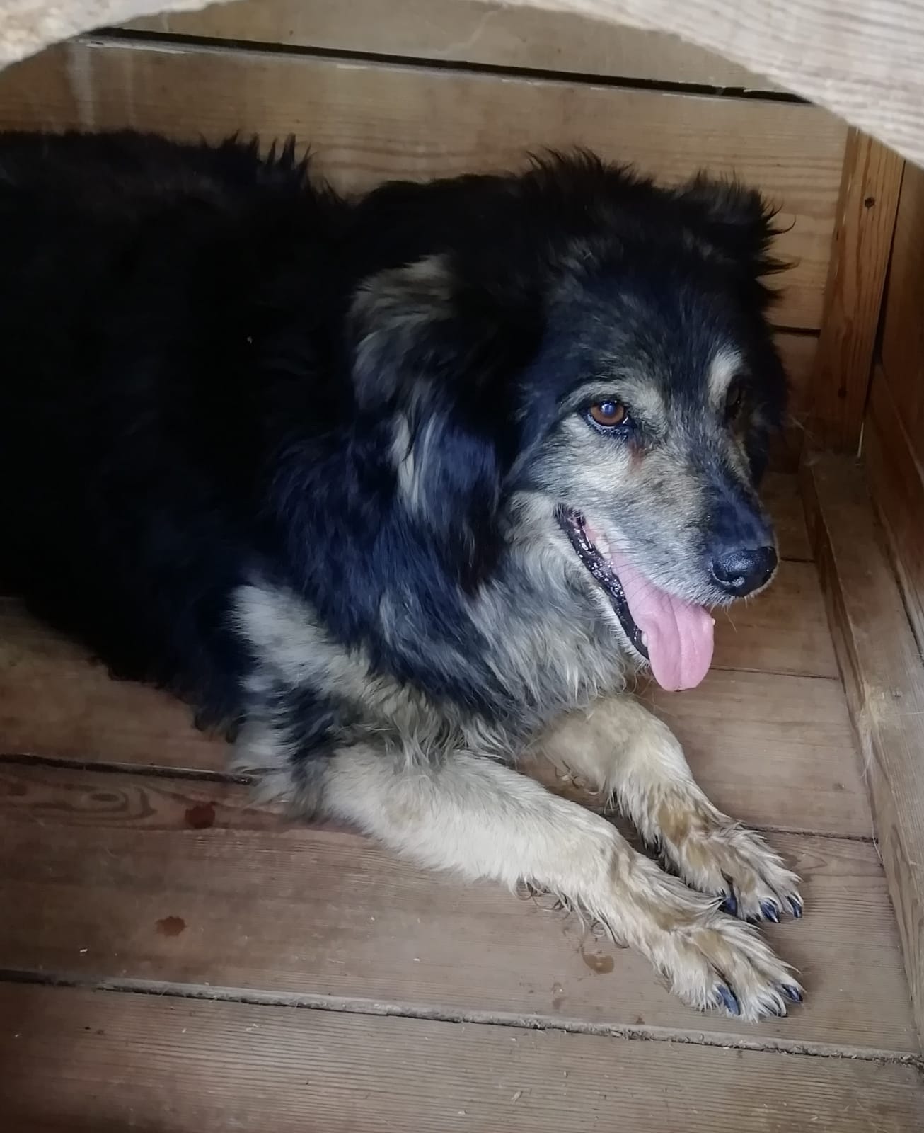 ������ ��������