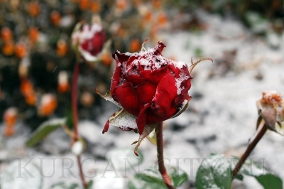 ��������: ��������� ���������!