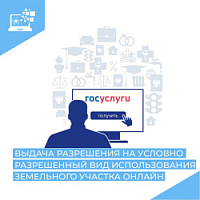 Муниципальная услуга: Предоставление разрешения на условно разрешенный вид использования земельного участка или объекта капитального строительства Муниципальная услуга: Предоставление разрешения на условно разрешенный вид использования земельного участка или объекта капитального строительства