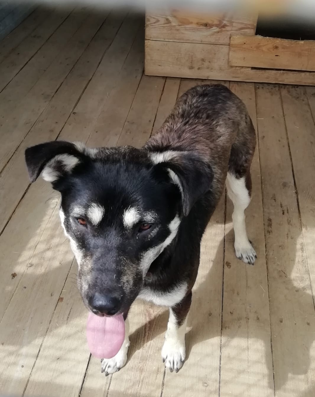 ������ �����