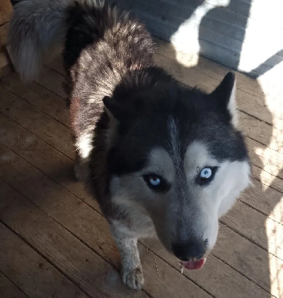 Кличка Мартин Кличка Мартин