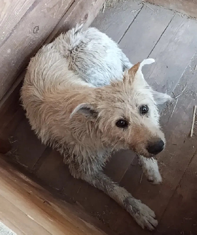 Кличка Мокруха Кличка Мокруха