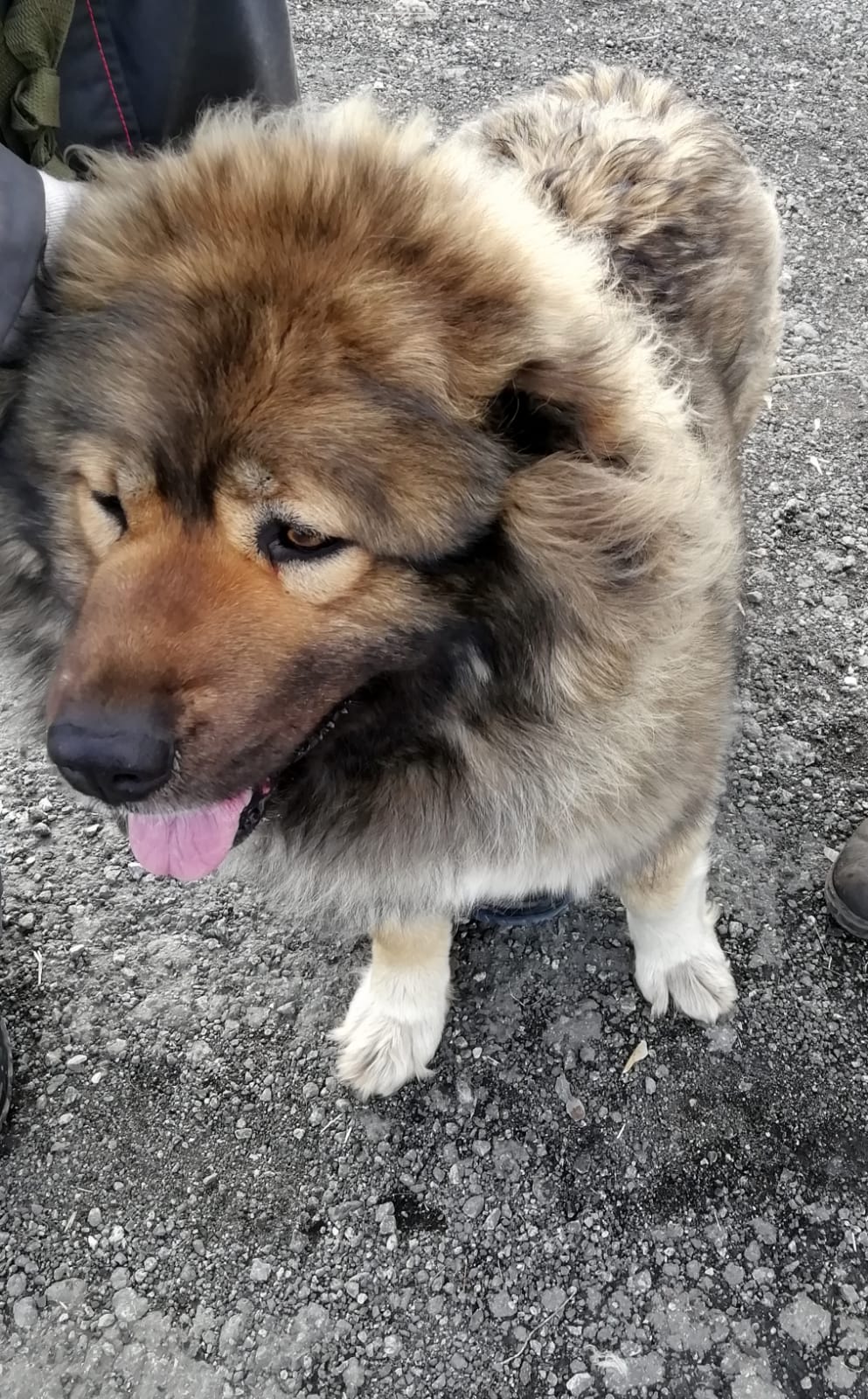 ������ �����