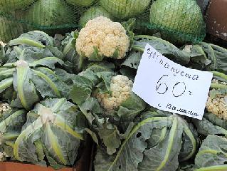 ���� �� �������� ������� � �� �������� �������������� ����� 