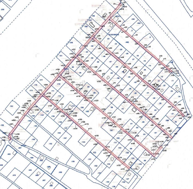 205.jpg